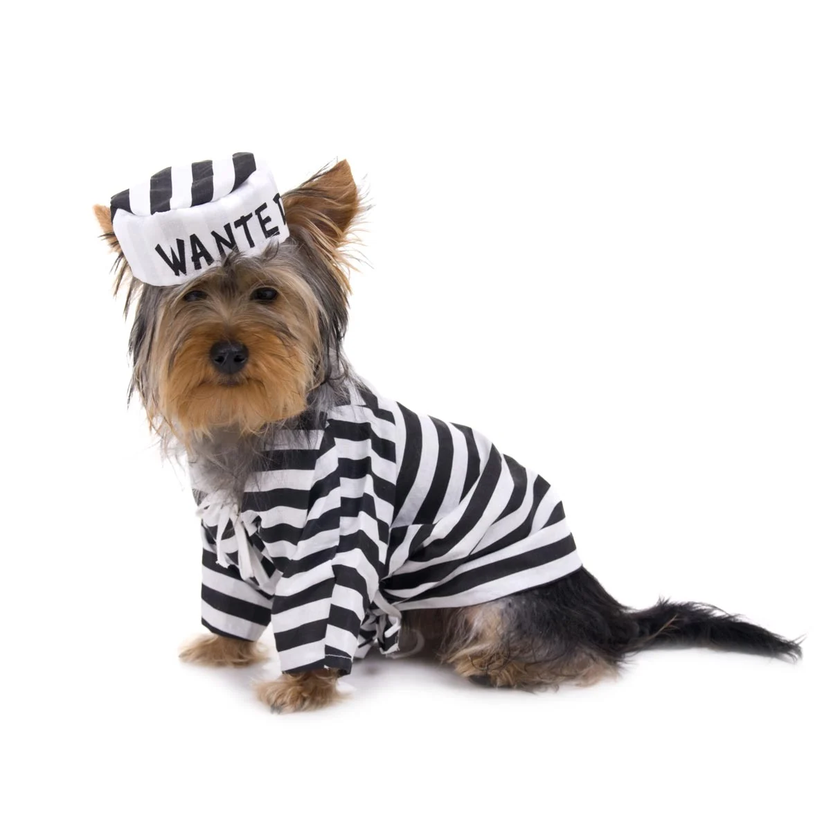 Bailtek Water and Fire Damage Water and Fire Damage Here to Bail You Out