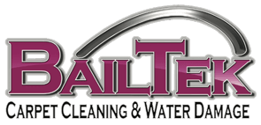 BailTek Cleaning and Restoration