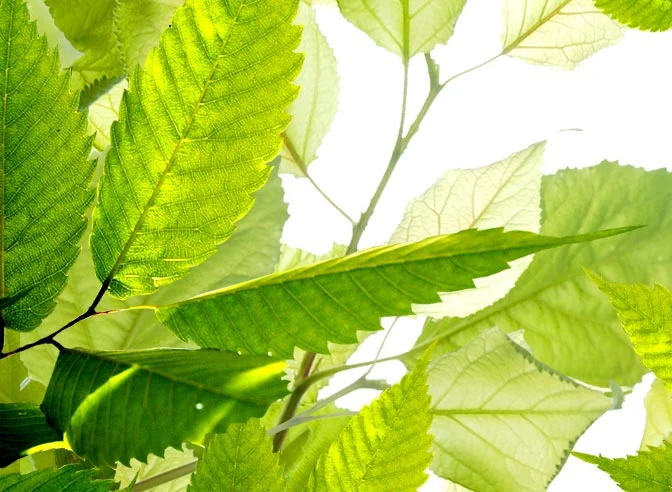 Storm Damage Emergency 24/7 Water and Fire Damage After Storm Hastings